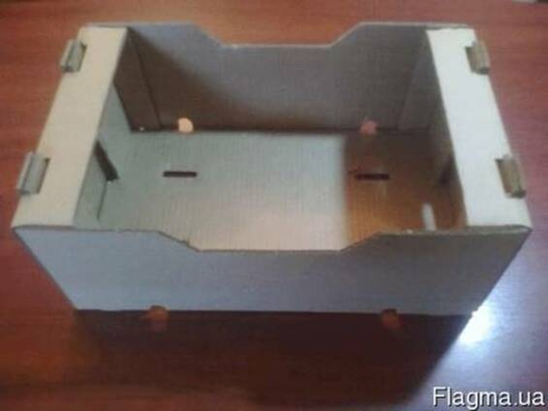 Картонный лоток под помидор/огурец по оптовым ценам  - <ro>Изображение</ro><ru>Изображение</ru> #4, <ru>Объявление</ru> #1737783