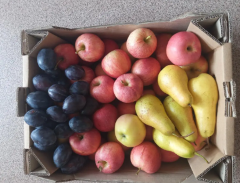 Продам картонный ящик /купить картонный ящик под персик  - <ro>Изображение</ro><ru>Изображение</ru> #4, <ru>Объявление</ru> #1737785